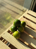 Limonka